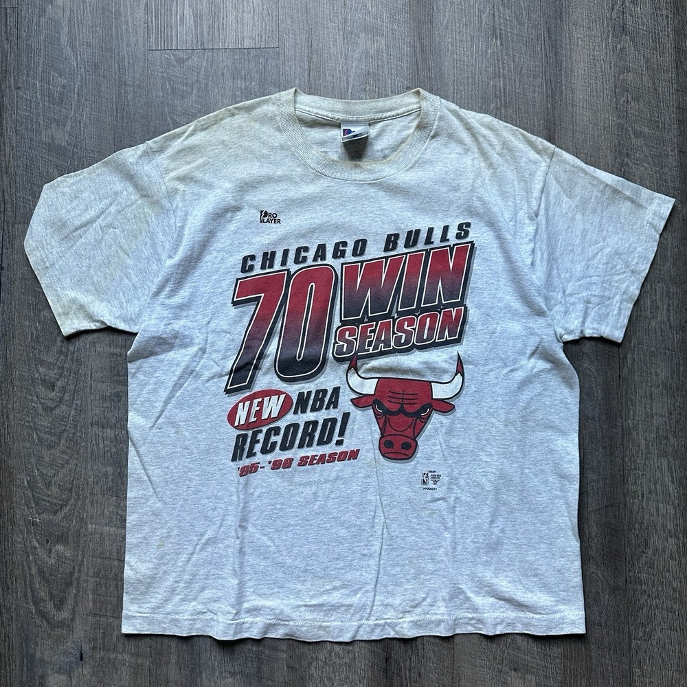 Pro Player Chicago Bulls T-Shirt Mens XL Grey 70 Win Season 95-96 Vintage NBA
